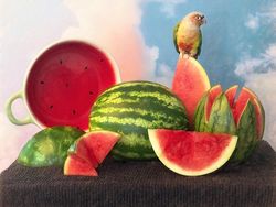 Keren! 16 Foto Pemenang Penghargaan Ini Dijepret Pakai iPhone