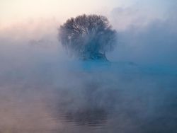 Keren! 16 Foto Pemenang Penghargaan Ini Dijepret Pakai iPhone
