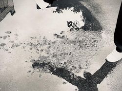 Keren! 16 Foto Pemenang Penghargaan Ini Dijepret Pakai iPhone