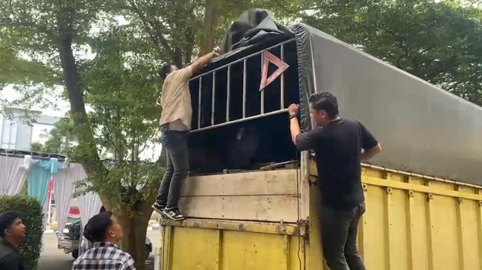 Polisi menggagalkan pengiriman 11 ton minyak tanah oplosan