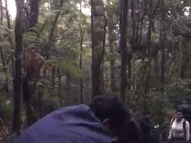 Pendaki Berbobot 145 Kg Keram di Gunung Gede Pangrango, Evakuasinya Dramatis