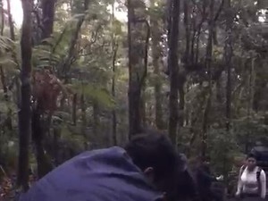 Pendaki Berbobot 145 Kg Keram di Gunung Gede Pangrango, Evakuasinya Dramatis