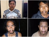 Kemhut Ungkap Awal Mula Tapir di Mesuji Dibunuh dan Dimasak