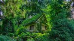 FOTO: 7 Rumah Paling Terpencil di Dunia, Cocok buat Introvert