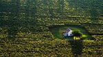 FOTO: 7 Rumah Paling Terpencil di Dunia, Cocok buat Introvert