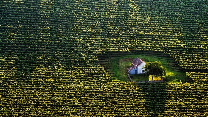7 Rumah Paling Terpencil di Dunia, Cocok buat Introvert