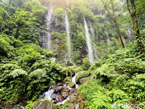 Air Terjun Lawean, Hidden Gem di Tengah Kebun Kopi Kawisari Blitar