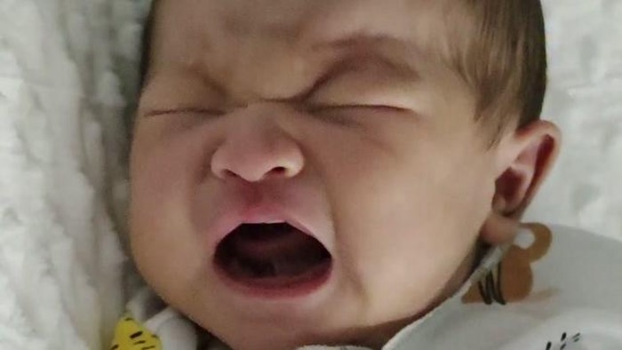 anak dzawin nur