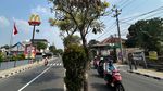 Potret Depok Rasa Jepang: Jalan Margonda Dihiasi Tabebuya Bermekaran
