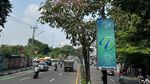 Potret Depok Rasa Jepang: Jalan Margonda Dihiasi Tabebuya Bermekaran