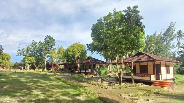 Daloha Beach and Dive Resort