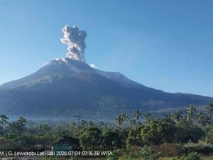 Gunung Lewotobi Laki-Laki Meletus Lagi, Muntahkan Abu Setinggi 1,4 Km