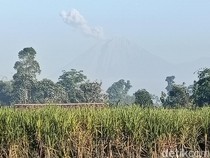 Semeru Erupsi Luncurkan 6 Kali Lava Pijar Sejauh 1 Kilometer