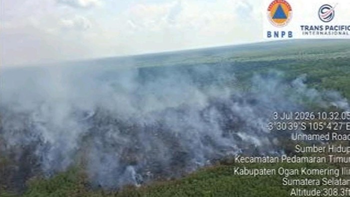 Karhutla yang terjadi di Pedamaran Timur.