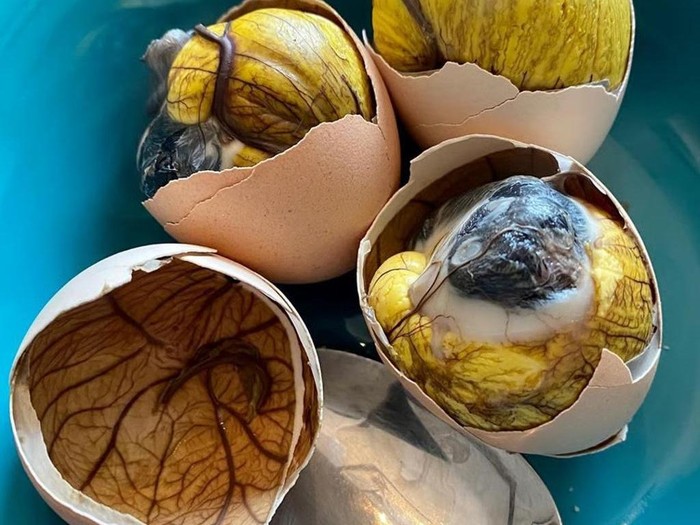 Makanan esktrem untuk gairah seksual