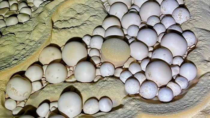 Mutiara Gua Thang  di Vietnam