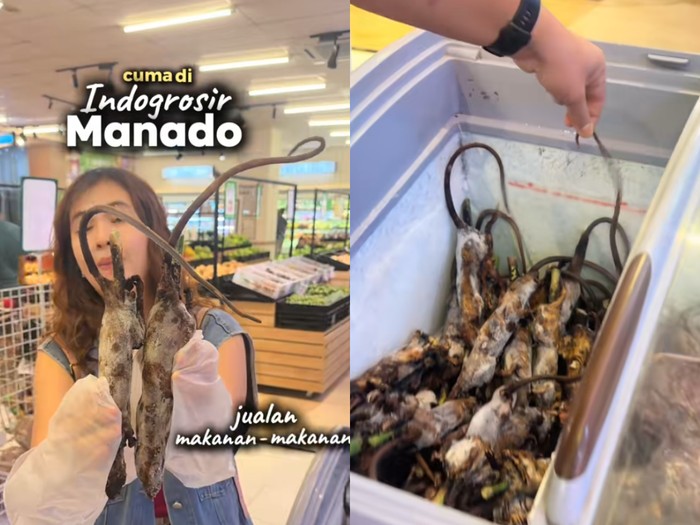 supermarket di Manado jual hewan ekstrem