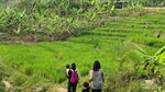 Mengisi Liburan Sekolah dengan Jelajahi Cantiknya Curug Bidadari