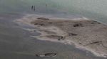 Fenomena Langka! Pulau Monyet Muncul Kembali di Danau Balaton Saat Air Surut