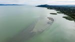 Fenomena Langka! Pulau Monyet Muncul Kembali di Danau Balaton Saat Air Surut