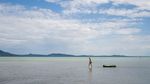 Fenomena Langka! Pulau Monyet Muncul Kembali di Danau Balaton Saat Air Surut