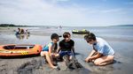 Fenomena Langka! Pulau Monyet Muncul Kembali di Danau Balaton Saat Air Surut