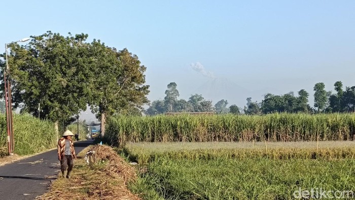 Gunung Semeru kembali erupsi pada Minggu (5/7/2026) pagi.