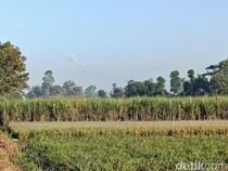 Gunung Semeru Kembali Luncurkan Lava Pijar Sejauh 1,5 Kilometer