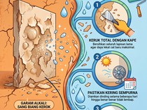 Cat Dinding Menggelembung Bukan gegara Jamur, Ini Biang Keroknya