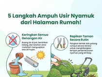 4 Cara Bikin Nyamuk Nggak Betah di Rumah, Nomor 1 Wajib Dicoba