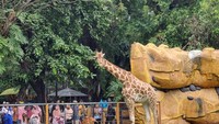 Pengunjung mengabadikan momen di kawasan Kebun Binatang Surabaya yang dipadati wisatawan selama masa libur sekolah.(Foto: Esti Widiyana/detikJatim)