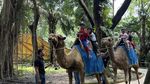 Suasana Kebun Binatang Surabaya Dipadati Pengunjung Saat Libur Sekolah