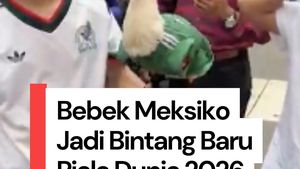  Video: Merlin, Bebek Meksiko yang Jadi Bintang Baru Piala Dunia 2026