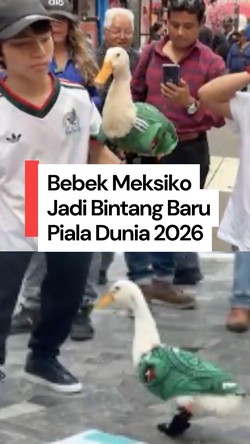  Video: Merlin, Bebek Meksiko yang Jadi Bintang Baru Piala Dunia 2026