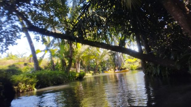 Pemandangan Susur Subak di Lazy River Pepohonan, kebun, dan sawah menjadi pemandangan saat menyusuri subak di Lazy River, Desa Penarungan, Badung, Bali, Selasa (30/6/2026).