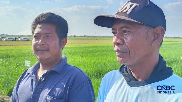 Petani di Kampung Candra Jaya, Distrik Kurik, Merauke, Papua Selatan. (CNBC Indonesia/Martyasari Rizky)