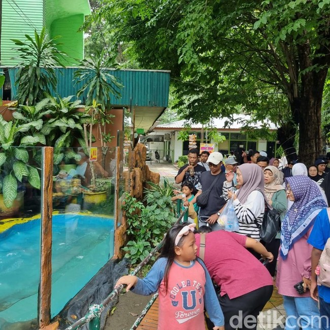 Suasana Kebun Binatang Surabaya Dipadati Pengunjung Saat Libur Sekolah