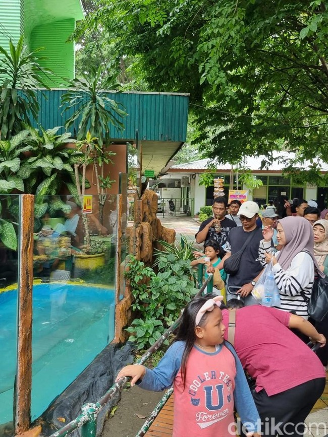 Suasana Kebun Binatang Surabaya Dipadati Pengunjung Saat Libur Sekolah