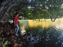 Nelayan Tewas Diterkam Buaya Saat Mencari Kerang di Danau Kuku