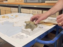 Dinosaurus Pertama dari Antartika Berhasil Diungkap, Seperti Apa?
