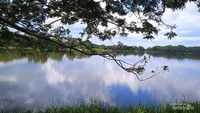 Danau Jakabaring dikelilingi oleh banyak pepohonan yang rindang