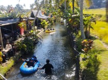 Serunya Susur Subak di Penarungan Bali, View Sawah-Tebing