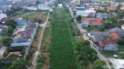 Baru 7 Bulan Dibersihkan, Kali Blencong Bekasi Kembali Dipenuhi Eceng Gondok