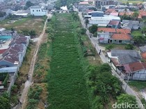 Baru 7 Bulan Dibersihkan, Kali Blencong Bekasi Kembali Dipenuhi Eceng Gondok