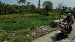 Baru 7 Bulan Dibersihkan, Kali Blencong Bekasi Kembali Dipenuhi Eceng Gondok
