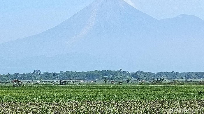 Kondisi Gunung Semeru usai erupsi