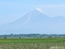 Gunung Semeru 2 Kali Erupsi Pagi Ini, Tinggi Letusan Capai 700 Meter