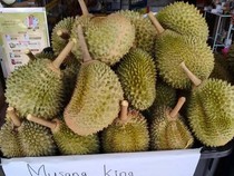 Durian Musang King Turun Harga di Malaysia, Sebiji Cuma Rp 22 Ribu!