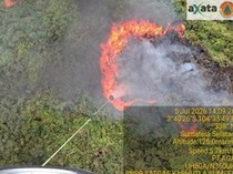5 Daerah Sumsel Terjadi Karhutla, Sejumlah Wilayah Masih Berasap