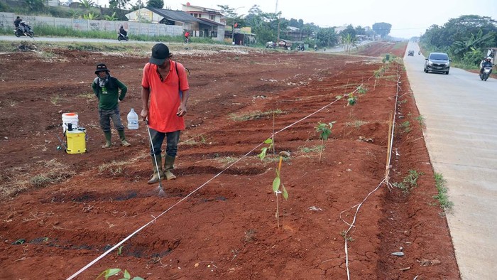 Foto udara pembangunan lahan pertanian di kawasan Jalan Raya Bojonggede- Kemang, Kabupaten Bogor, Jawa Barat, Senin (6/7/2026). Pemkab Bogor mengubah lahan kosong di sepanjang Jalan Raya Bojong Gede–Kemang (Bomang) sepanjang delapan kilometer menjadi kawasan pertanian terpadu sebagai upaya mendorong pemberdayaan ekonomi masyarakat serta untuk memperkuat ketahanan pangan. ANTARA FOTO/Yulius Satria Wijaya